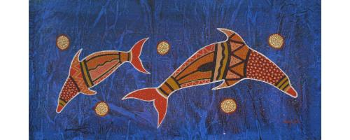 Dolphin Dreaming