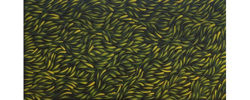 Bush Medicine - Rosemary Petyarre - SOLD