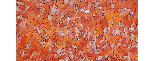 Bush Berries - Lynette Corby Nungurrayi