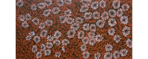 Bush Medicine - Jacinda Hayes
