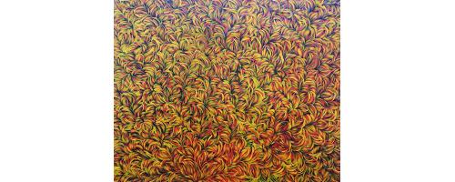 Bush Leaf Medicine - Margaret Scobie