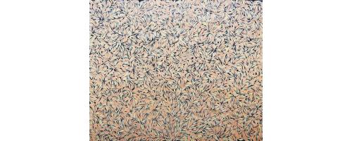 Bush Leaf Medicine - Margaret Scobie