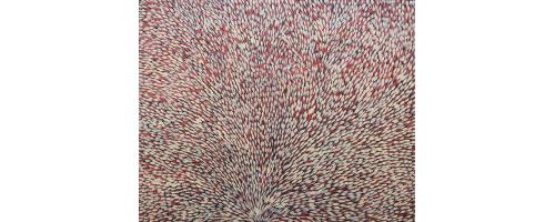 Bush Leaf Medicine - Margaret Scobie