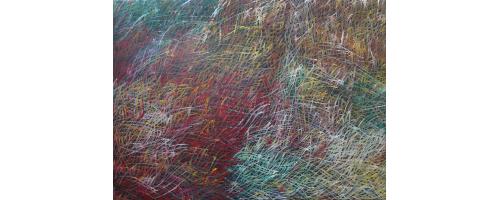 Grass Seed Dreaming - Barbara Weir