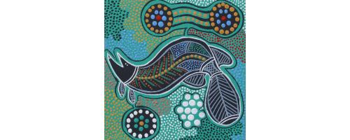 Barramundi